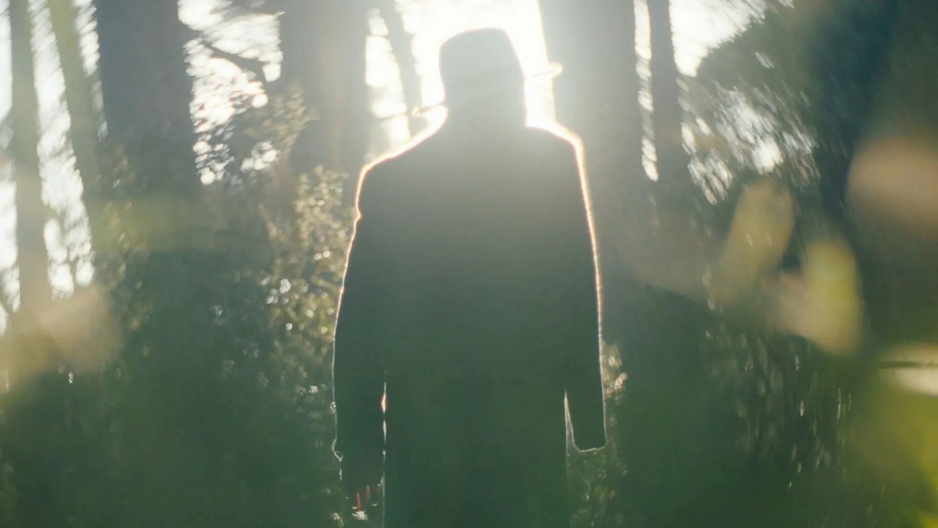 Albie: A Strange Alchemy